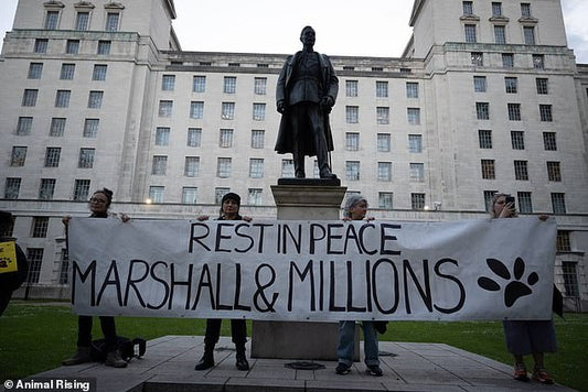 Justice of Millions and Marshall - The Tragic Shooting of Two Dogs - Iconic Paw