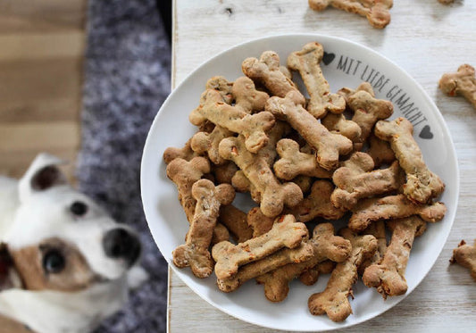Simple and Delicious Dog Treat Recipes - Iconic Paw